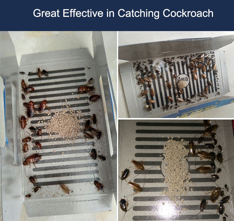 Pesthor Cockroach Glue Trap House, effective in catching various cockroaches in a flat design