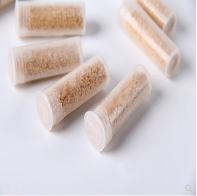 Pesthor Cockroach Powder Bait in small containers for effective roach control