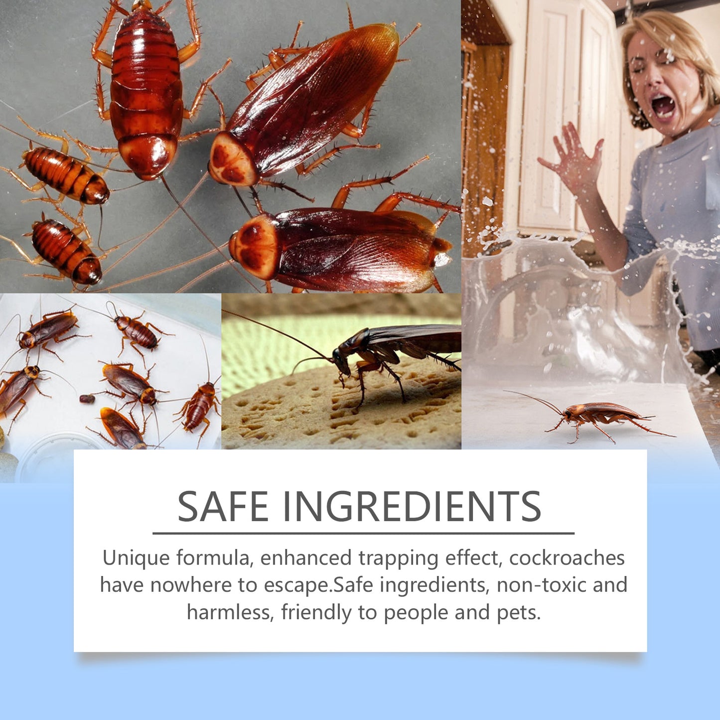 eprolo Cockroach Bait Station Paste in an easy-to-use form for effective cockroach control