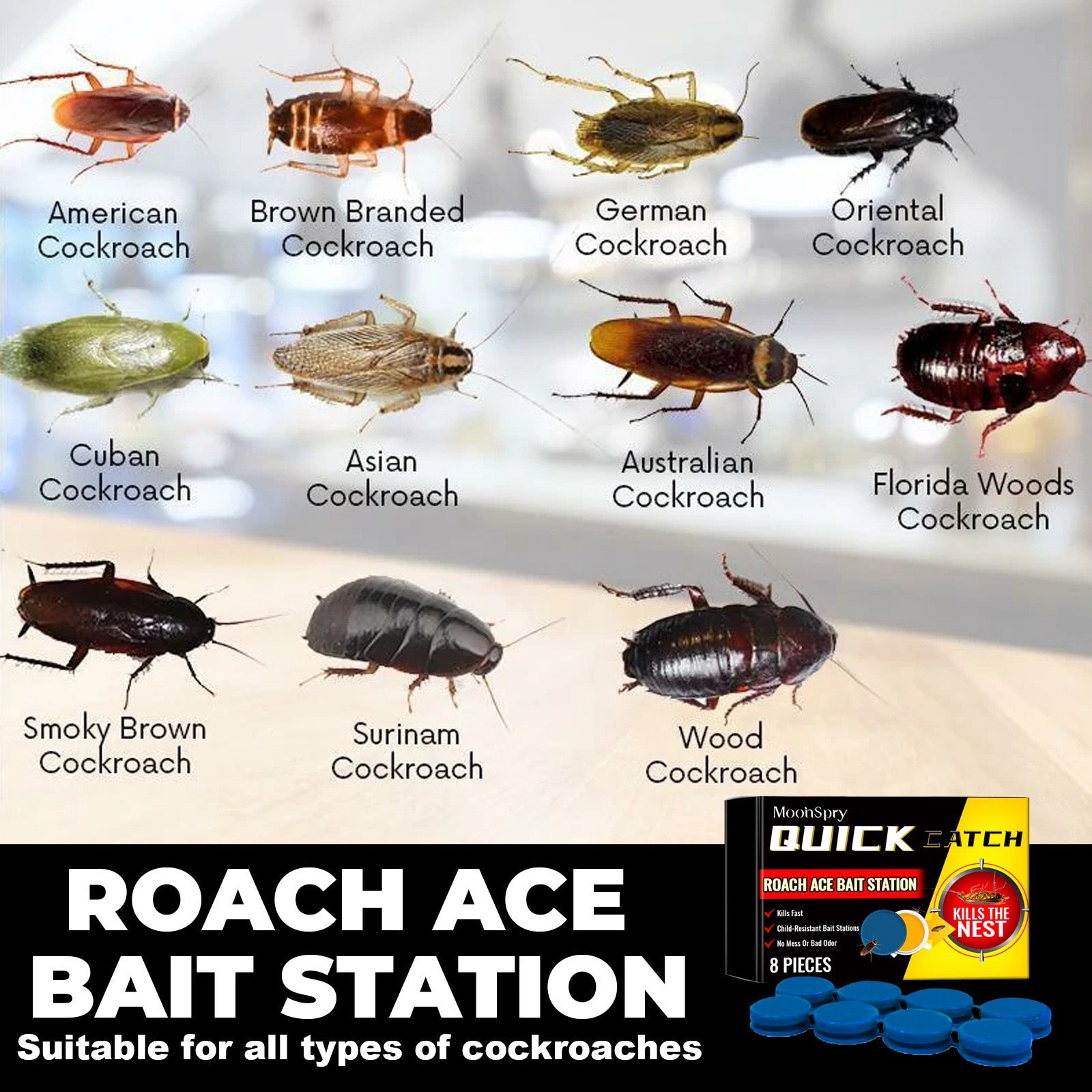 Pesthor Roach Ace Bait Station with 8 pieces, effective against various cockroaches