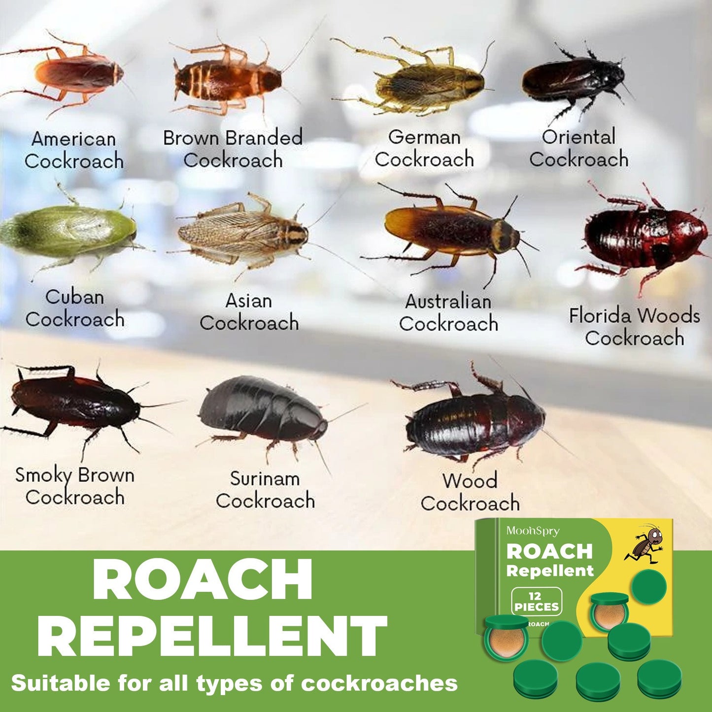 Pesthor cockroach bait gel in a tube for effective roach elimination and prevention