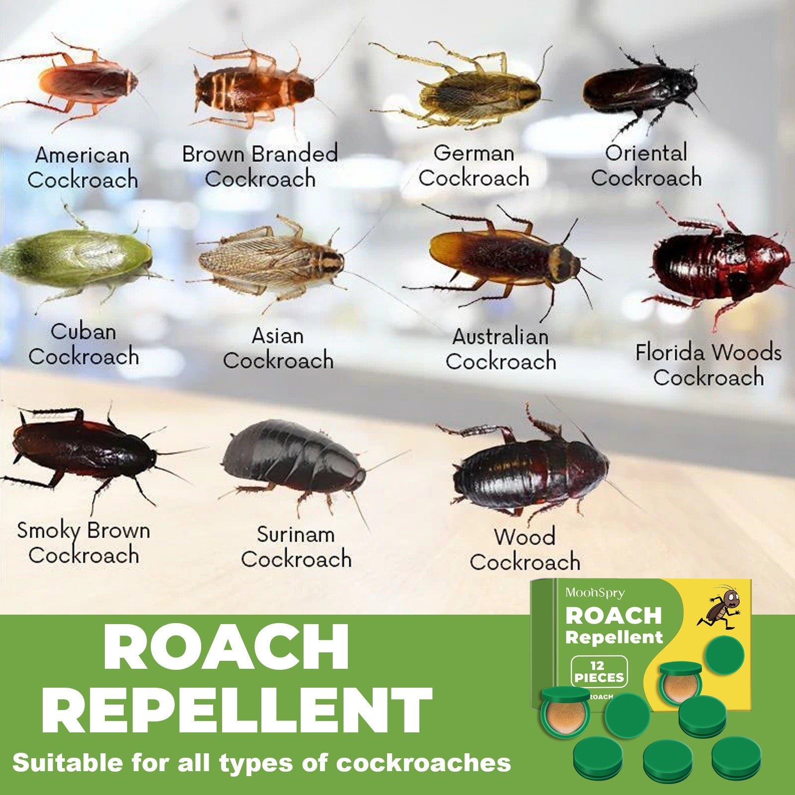 Pesthor cockroach bait gel in a tube for effective roach elimination and prevention