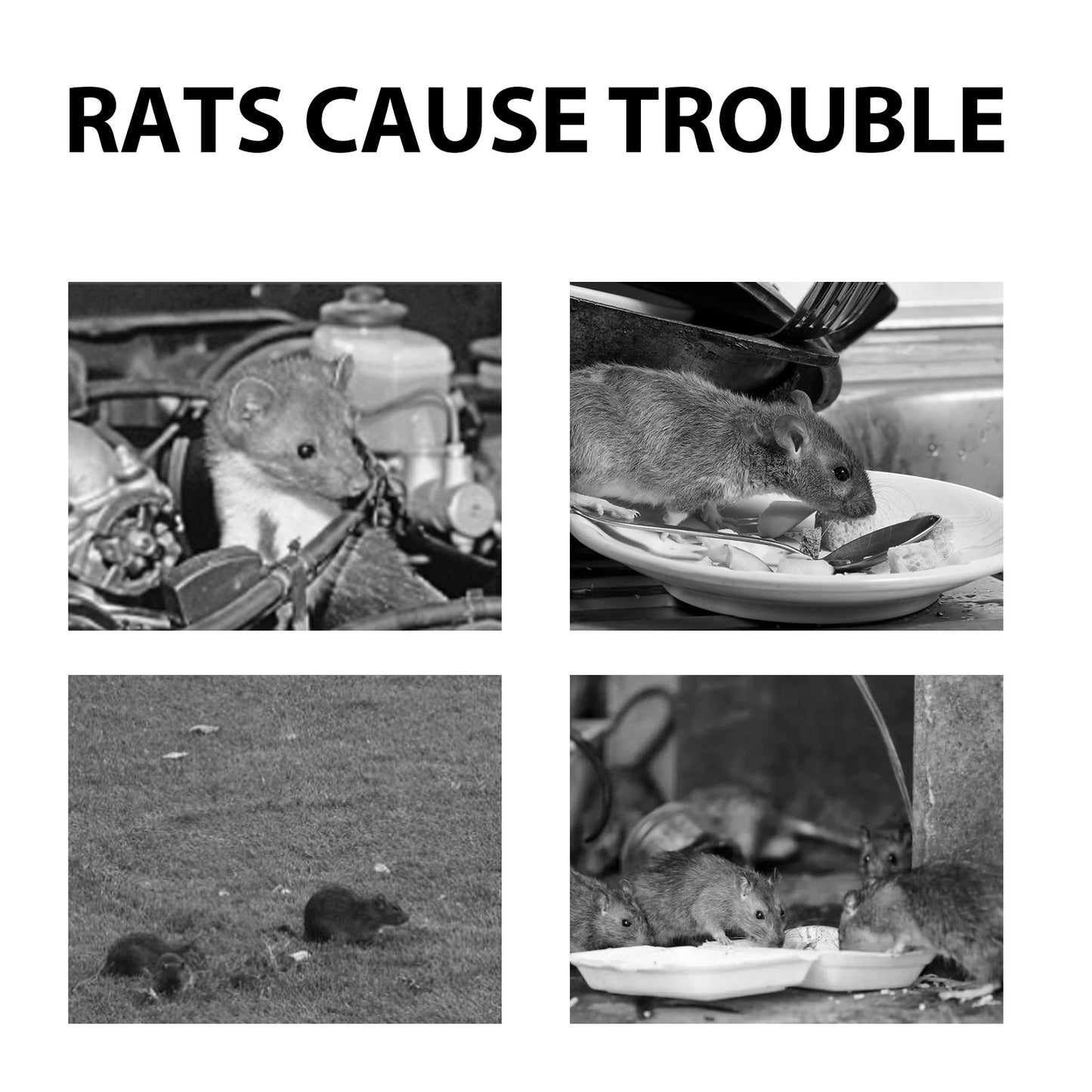 MoonSpry Mouse Repellent Pills by eprolo, effective solution against mice and rat infestations