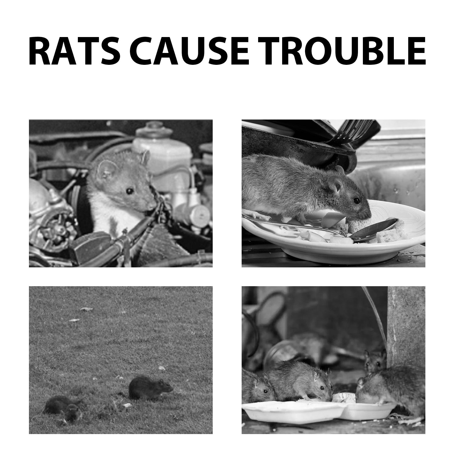 MoonSpry Mouse Repellent Pills by eprolo, effective solution against mice and rat infestations