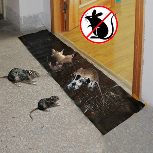 Pesthor mouse catcher trap with a large surface area, designed for effective rodent capture in homes, sticky mouse, sticky mouse board