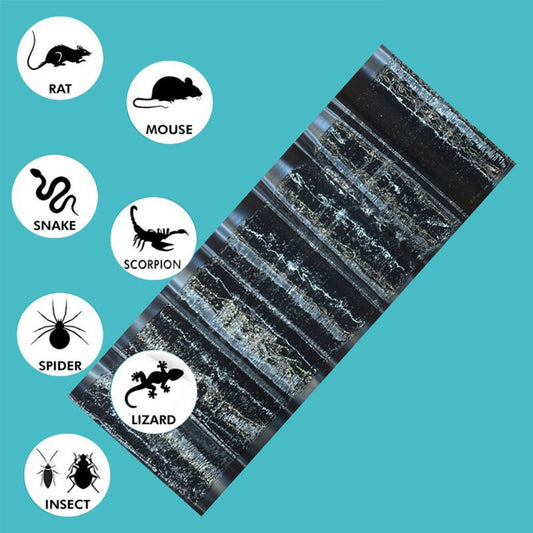 Pesthor Pest Glue Trap in black, designed for catching rodents and insects, with illustrations of pests included