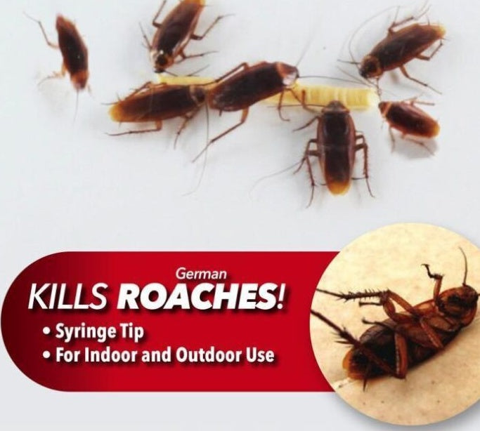 Pesthor Roach Doctor Cockroach Killing Paste in a syringe tip for indoor and outdoor use against roaches