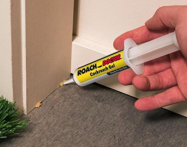 Pesthor Roach Doctor Cockroach Killing Paste in a syringe, perfect for eliminating cockroaches effectively