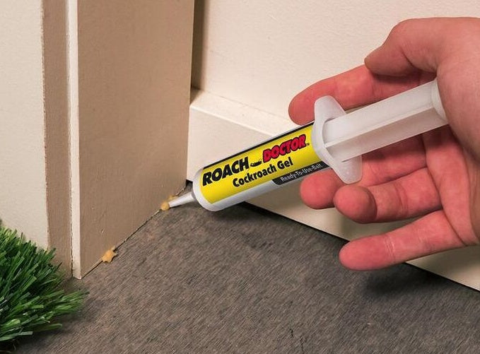 Pesthor Roach Doctor Cockroach Killing Paste in a syringe for effective pest control