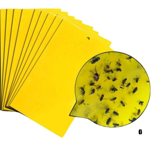 Eprolo Sticky Fly Traps in Yellow, Pack of 10, Efficient for Catching Indoor and Outdoor Flies