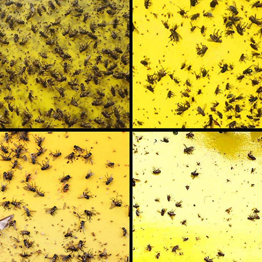 Eprolo Sticky Fly Traps in yellow, designed to capture various flying insects effectively