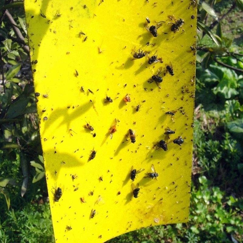 Eprolo Sticky Fly Traps in yellow, durable design, effectively captures flying insects outdoors