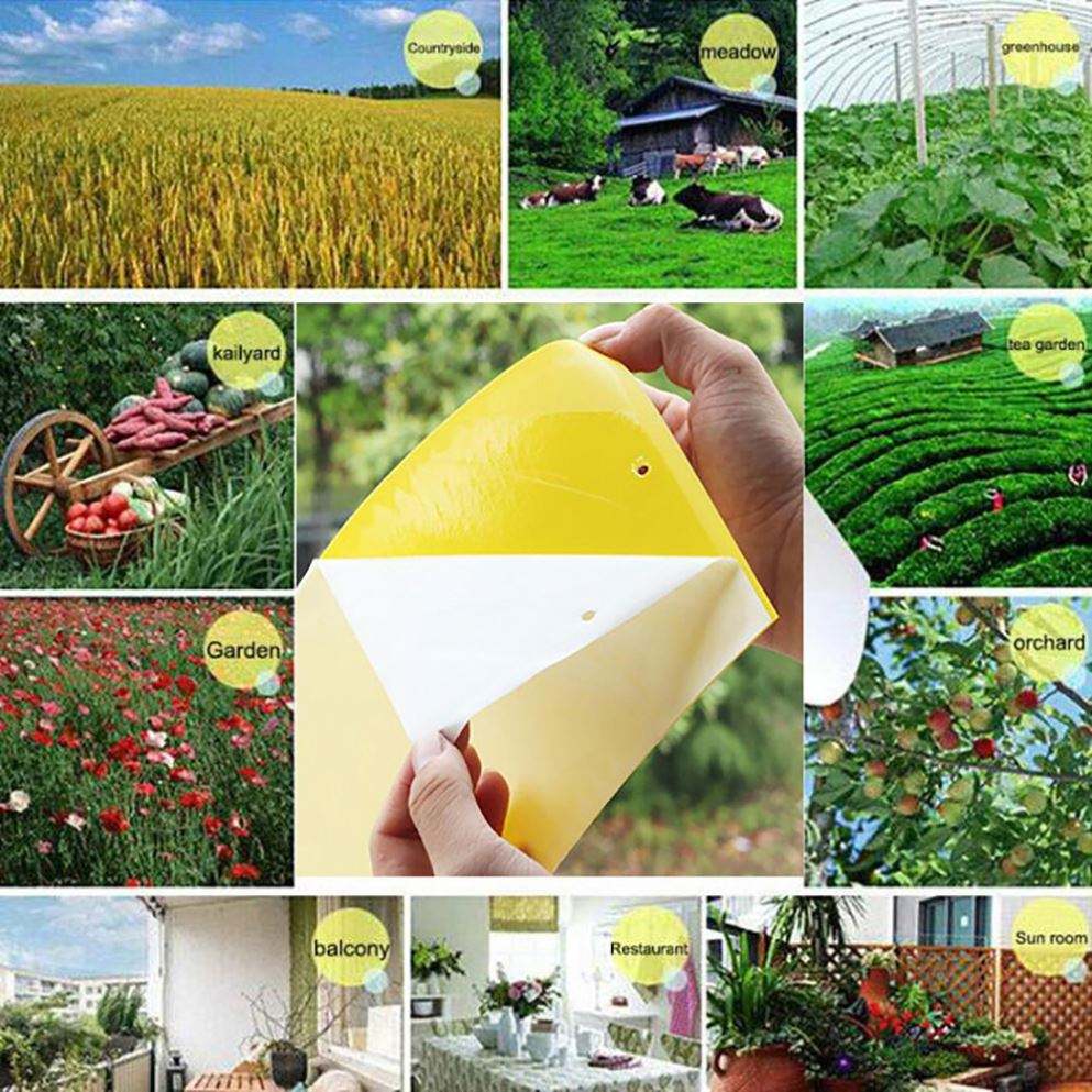 Eprolo Sticky Fly Traps Yellow Sticky Sheets for Insect Control in Gardens and Greenhouses